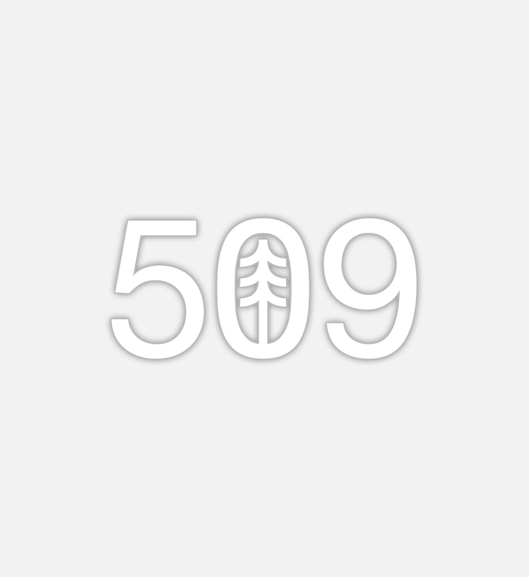 509 Vinyl Decal